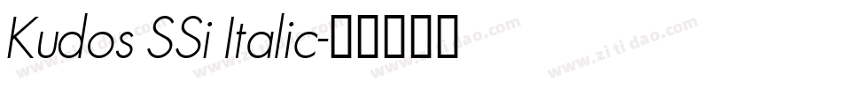 Kudos SSi Italic字体转换